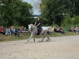 DSC_9522_web